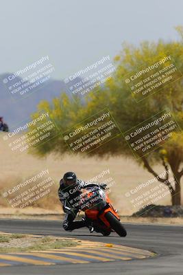 media/Apr-12-2025-Race Pace (Sat) [[9230add55f]]/Vested/6-Turn 4 Tree of Life (115pm)/